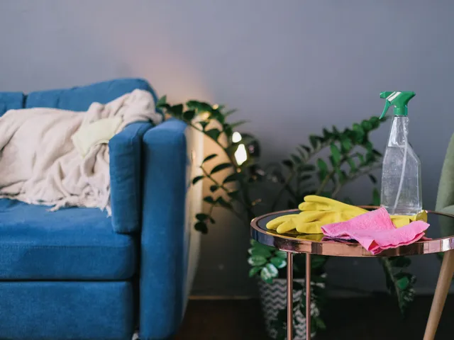 Apartment Cleaning