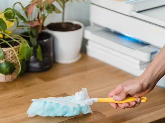 Basic Cleaning